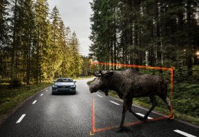 : Exterior Large Animal Detection Volvo S90 1
