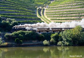 Nuno Feliz: Comboio Hist�rico - Linha do Douro