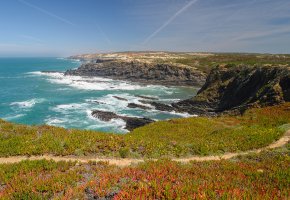 Luís Guerreiro: Vista da Costa do Cavaleiro no Cabo do Sardão com trilho