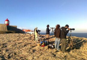 : Vila do Bispo venceu em 2015 com o Festival de Aves