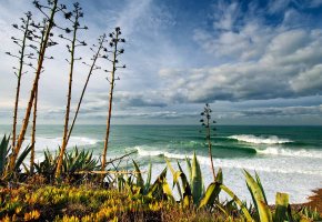 : Ericeira