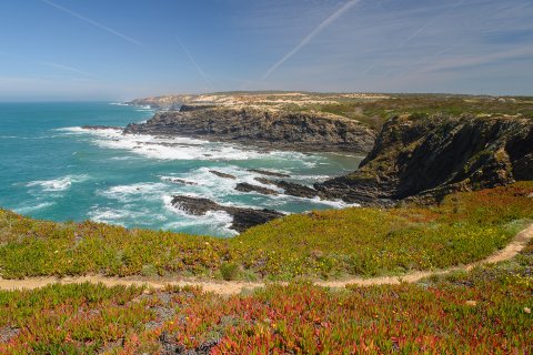 Luís Guerreiro: Vista da Costa do Cavaleiro no Cabo do Sardão com trilho