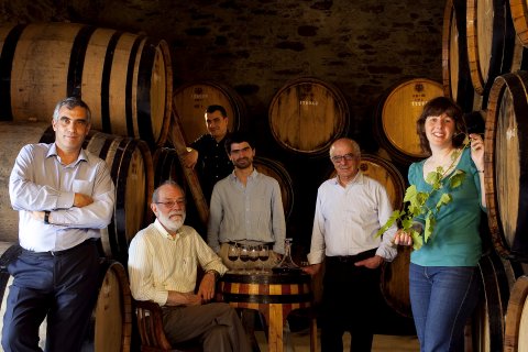 ARTSTUDIO: Vinhos Po�asFamilyDouro