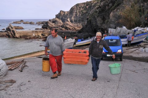 Luís Guerreiro: Vista do Portinho de Pesca com os pescadores a levar o peixe para a lota