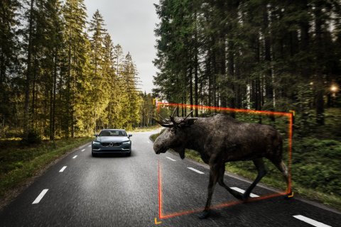 : Exterior Large Animal Detection Volvo S90 1