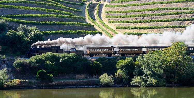 Nuno Feliz: Comboio Hist�rico - Linha do Douro