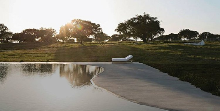 Tribuna do Alentejo: 