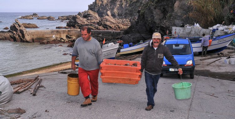 Luís Guerreiro: Vista do Portinho de Pesca com os pescadores a levar o peixe para a lota