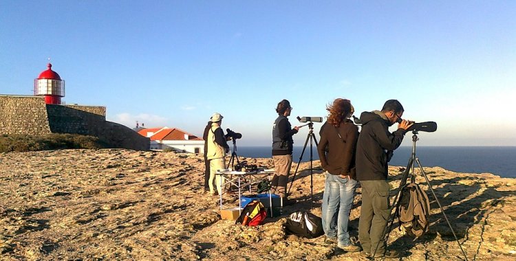 : Vila do Bispo venceu em 2015 com o Festival de Aves